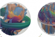新生中子星內(nèi)部對(duì)流區(qū)中磁場(chǎng)線的3D快照