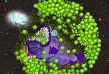 研究人員發(fā)現(xiàn)某個大質(zhì)量恒星內(nèi)部的氖氣可以消耗核中的電子