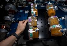 生物學研究使SpaceX的Dragon回歸地球