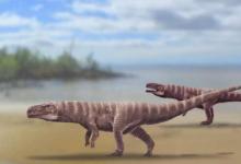古代鱷魚(yú)像恐龍一樣在兩條腿上行走