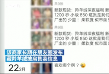 多家電商平臺被曝售藏羚羊絨披肩