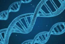 科學(xué)家發(fā)現(xiàn)RNA片段可以寫(xiě)回DNA