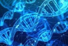研究人員表明可以從空氣中收集動(dòng)物DNA