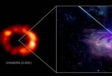科學家可能發(fā)現(xiàn)了潛伏在著名超新星內部的中子星