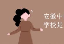 教育資訊：安徽中醫(yī)藥高等專科學(xué)校是幾本