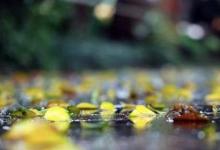 日常生活:立秋下雨有什么說法