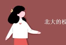 教育資訊：北大的?；帐钦l設(shè)計(jì)