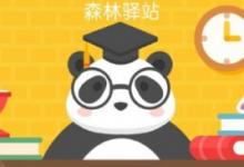 前沿手游:國(guó)家一級(jí)保護(hù)植物花朵像白鴿被稱為植物中的綠色熊貓的是什么樹?
