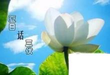 日常生活:什么是三伏天怎么計算