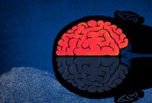 日常生活：左腦思維和右腦思維有什么區(qū)別