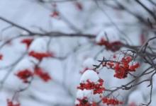日常生活:立冬節(jié)氣的含義是什么