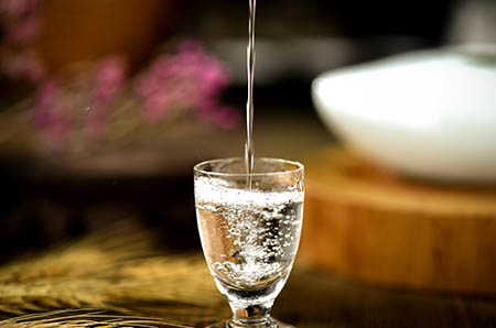 藍(lán)莓簡(jiǎn)筆畫2