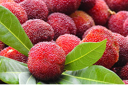 可愛(ài)菊花簡(jiǎn)筆畫(huà)步驟1