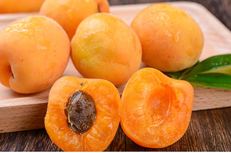 河馬簡(jiǎn)筆畫彩色2