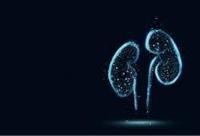 牽?；ê?jiǎn)筆畫步驟