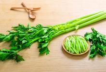 如何畫天鵝簡(jiǎn)筆畫