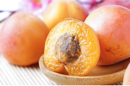 和平鴿簡(jiǎn)筆畫彩色的畫法3