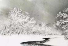日常生活：忽如一夜春風(fēng)來(lái)千樹(shù)萬(wàn)樹(shù)梨花開(kāi)是什么意思