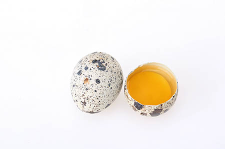 圣誕小熊貓簡(jiǎn)筆畫(huà)2