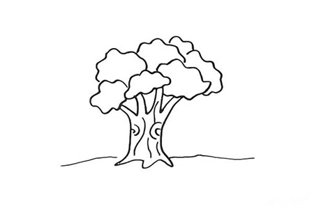 大樹(shù)彩色簡(jiǎn)筆畫(huà)的畫(huà)法4