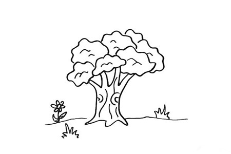 大樹(shù)彩色簡(jiǎn)筆畫(huà)的畫(huà)法5