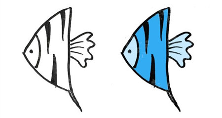 熱帶魚彩色簡(jiǎn)筆畫的畫法2