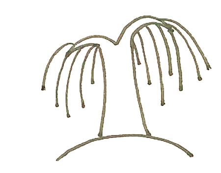 柳樹(shù)彩色簡(jiǎn)筆畫(huà)的畫(huà)法2