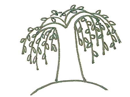 柳樹(shù)彩色簡(jiǎn)筆畫(huà)的畫(huà)法3