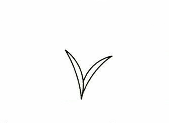 水稻簡(jiǎn)筆畫步驟圖 水稻怎么畫2