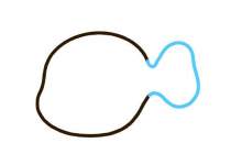 小丑魚(yú)如何畫(huà)簡(jiǎn)筆畫(huà)？