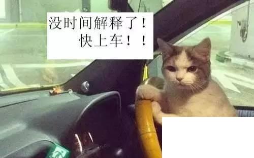 網(wǎng)絡(luò)語(yǔ)開車是什么意思