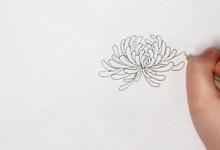 菊花簡(jiǎn)筆畫步圖