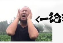 日常生活:giao是什么意思