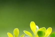 日常生活：解落三秋葉能開(kāi)二月花描寫(xiě)的是什么季節(jié)