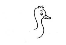 如何畫鴕鳥的簡(jiǎn)筆畫？