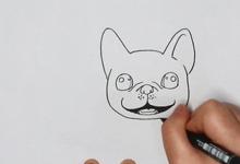 如何畫法國斗牛犬簡筆畫？