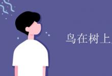 教育資訊：鳥(niǎo)在樹(shù)上用in還是on