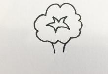 牽牛花簡(jiǎn)筆畫(huà)顏色步驟