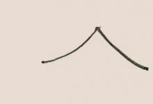 松樹簡(jiǎn)筆畫簡(jiǎn)單又漂亮