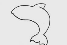鯊魚(yú)簡(jiǎn)化筆畫(huà)步驟