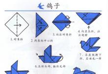 如何用手折鴿子？