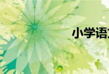 小學(xué)科學(xué)教學(xué)應(yīng)該怎樣開展？