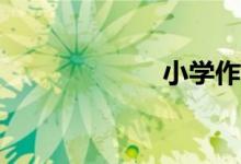 小學(xué)作文怎么寫？
