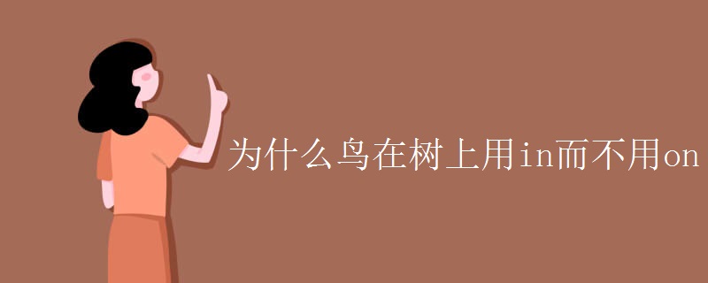 為什么鳥(niǎo)在樹(shù)上用in而不用on