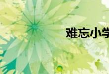 難忘小學時光手抄報