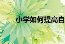 小學(xué)如何提高自己的作文寫作技巧？