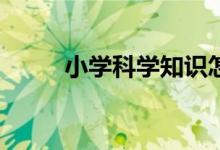 小學科學知識怎樣開展自主學習？