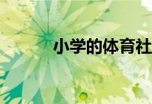 小學(xué)的體育社團(tuán)活動都有哪些？