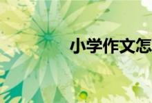 小學(xué)作文怎么才能拿高分？