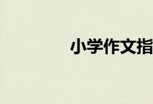 小學(xué)作文指導(dǎo)：如何點(diǎn)題？